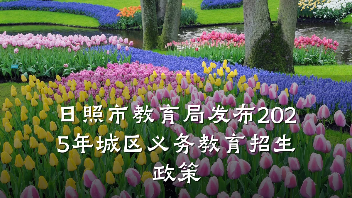 日照市教育局发布2025年城区义务教育招生政策