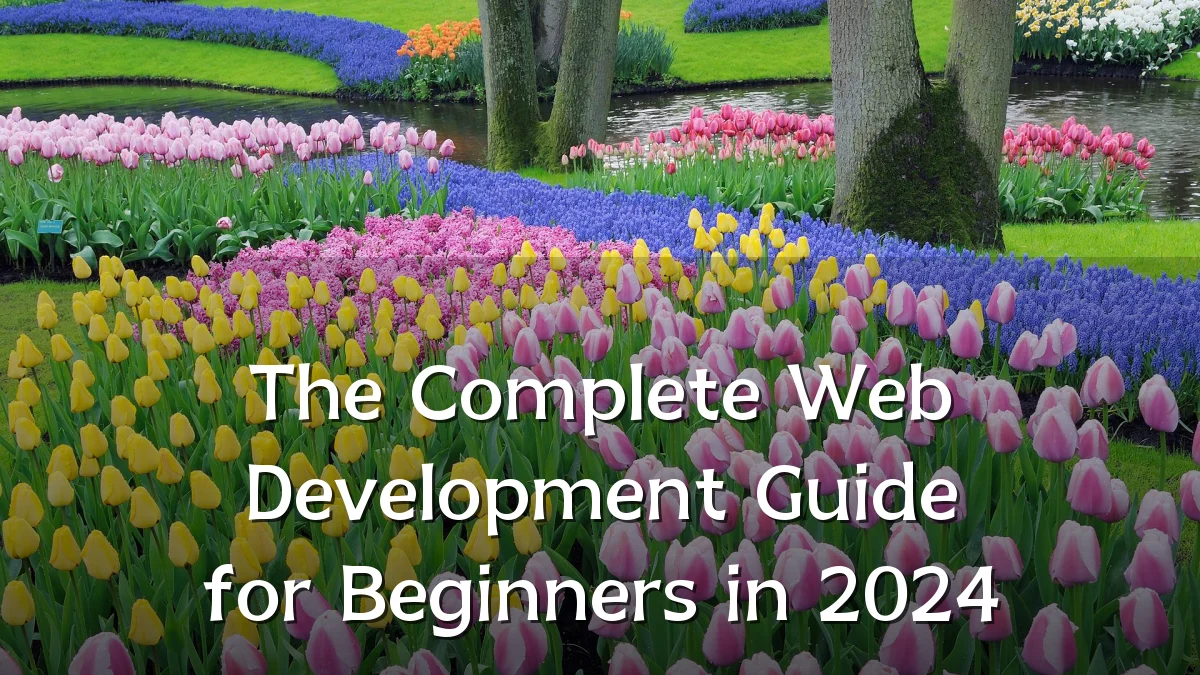 The Complete Web Development Guide for Beginners in 2024