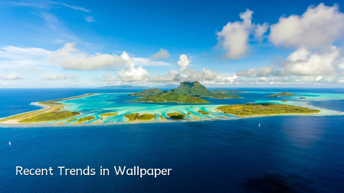 Recent Trends in Wallpaper