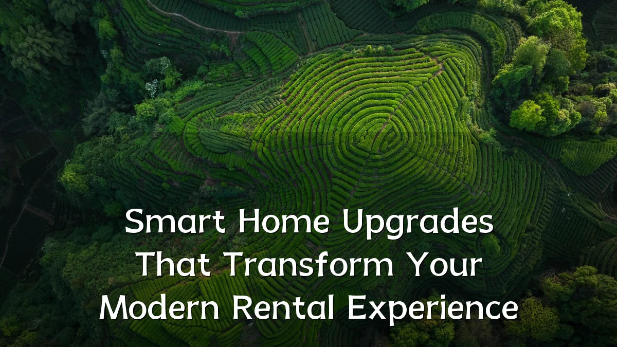 Smart Home Upgrades That Transform Your Modern Rental Experience
