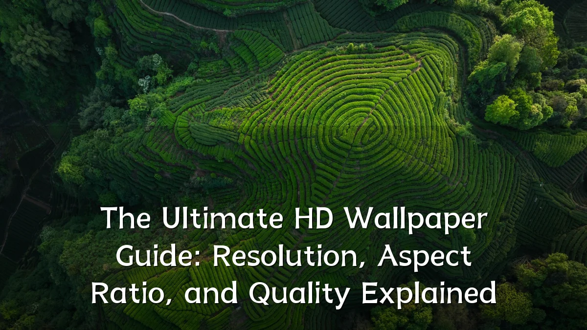 The Ultimate HD Wallpaper Guide: Resolution, Aspect Ratio, and Quality Explained