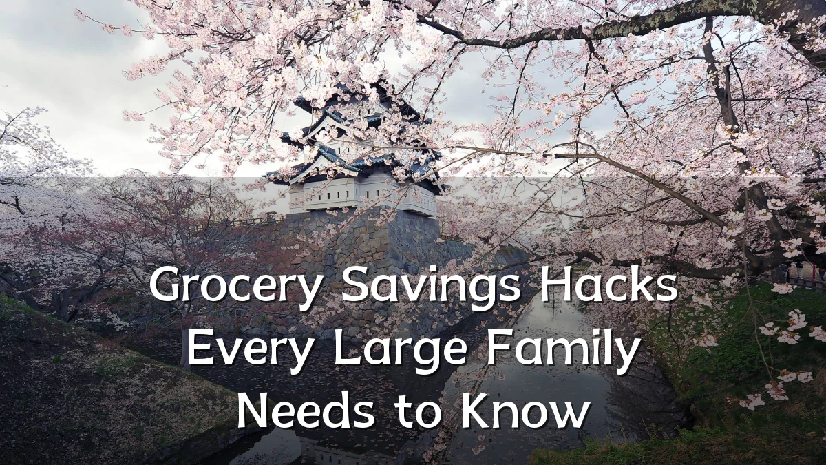 Grocery Savings Hacks Every Large Family Needs to Know
