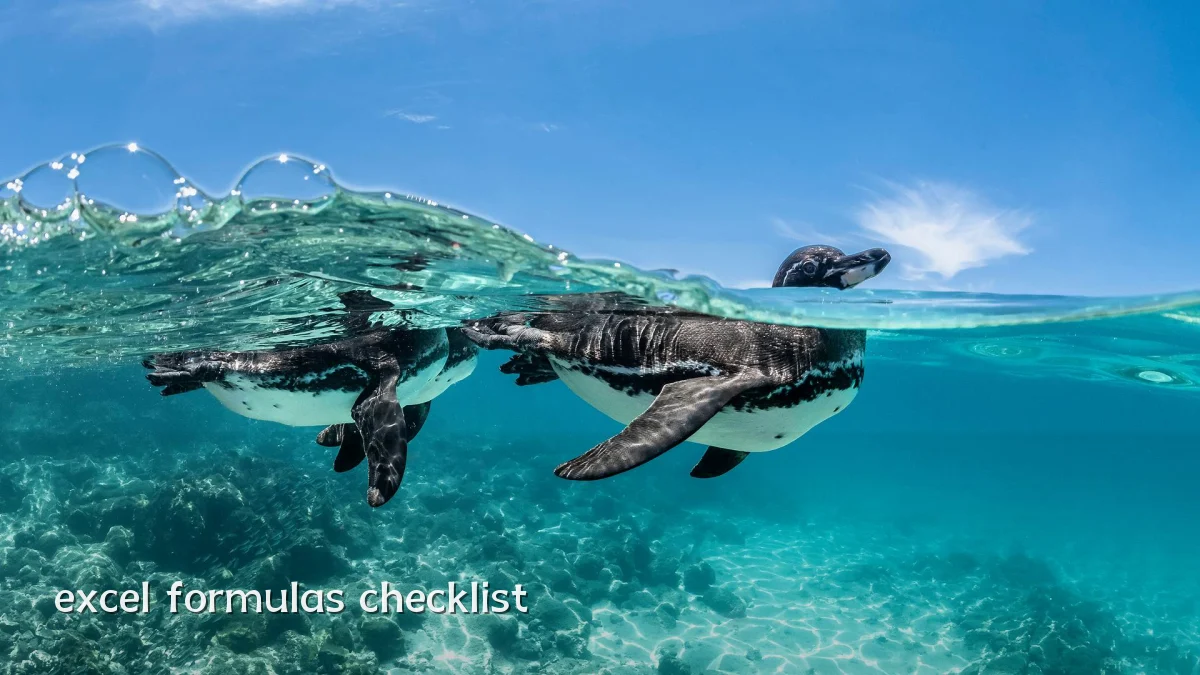 excel formulas checklist