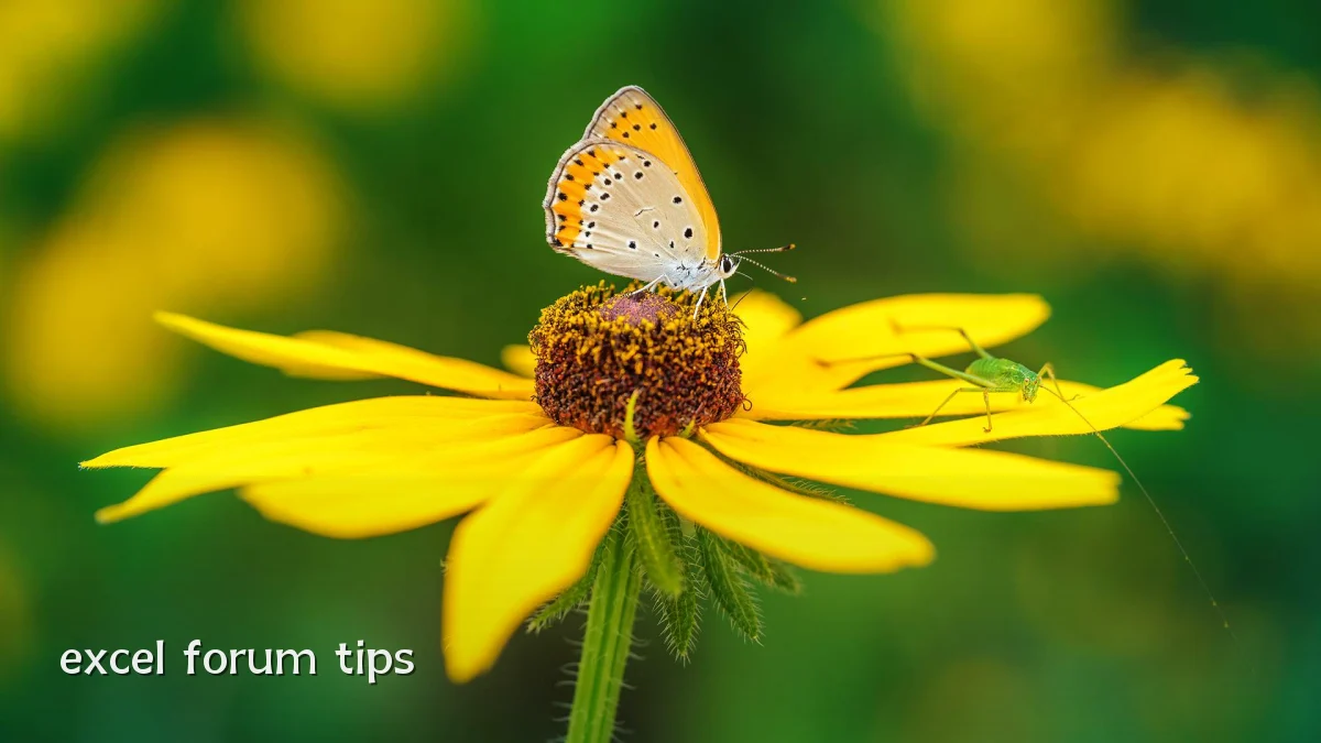 excel forum tips
