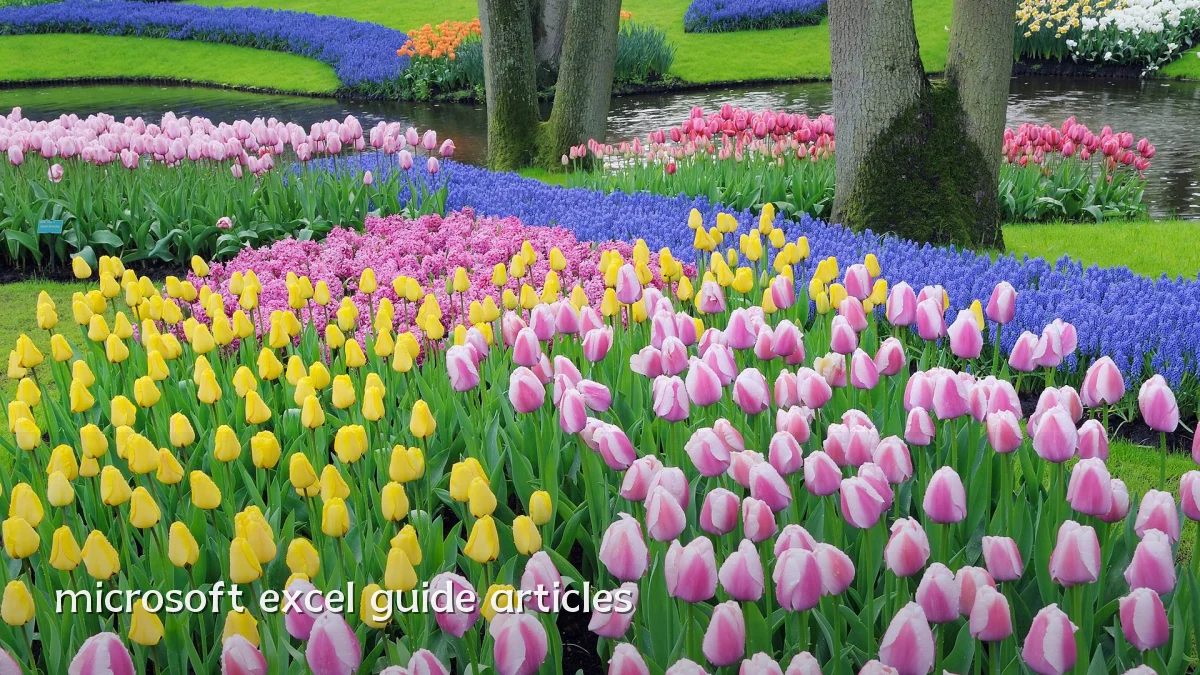 microsoft excel guide articles