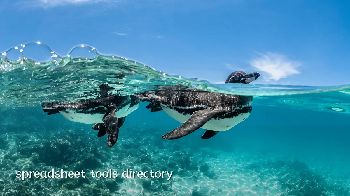 spreadsheet tools directory