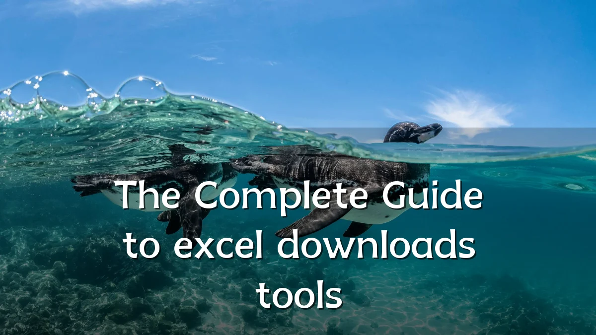 The Complete Guide to excel downloads tools