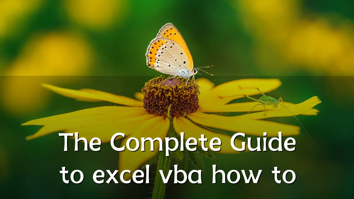 The Complete Guide to excel vba how to