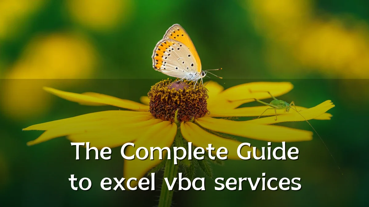 The Complete Guide to excel vba services