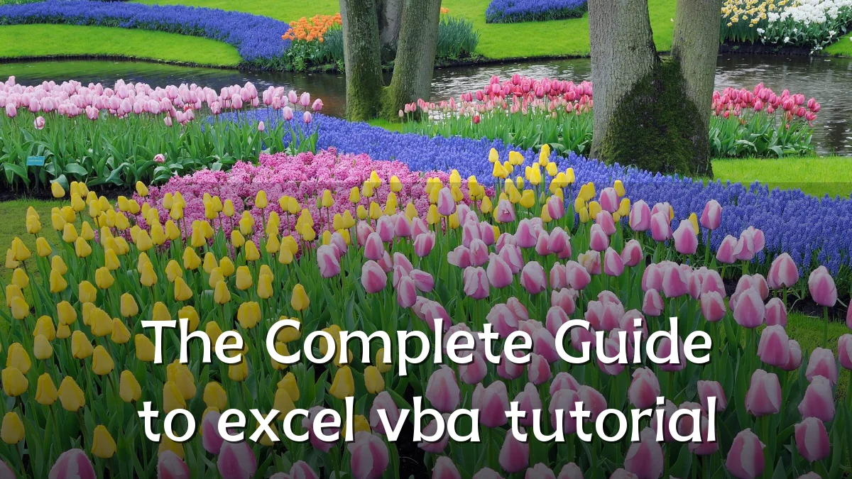 The Complete Guide to excel vba tutorial