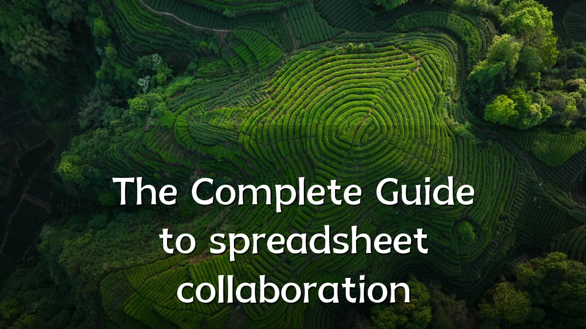 The Complete Guide to spreadsheet collaboration