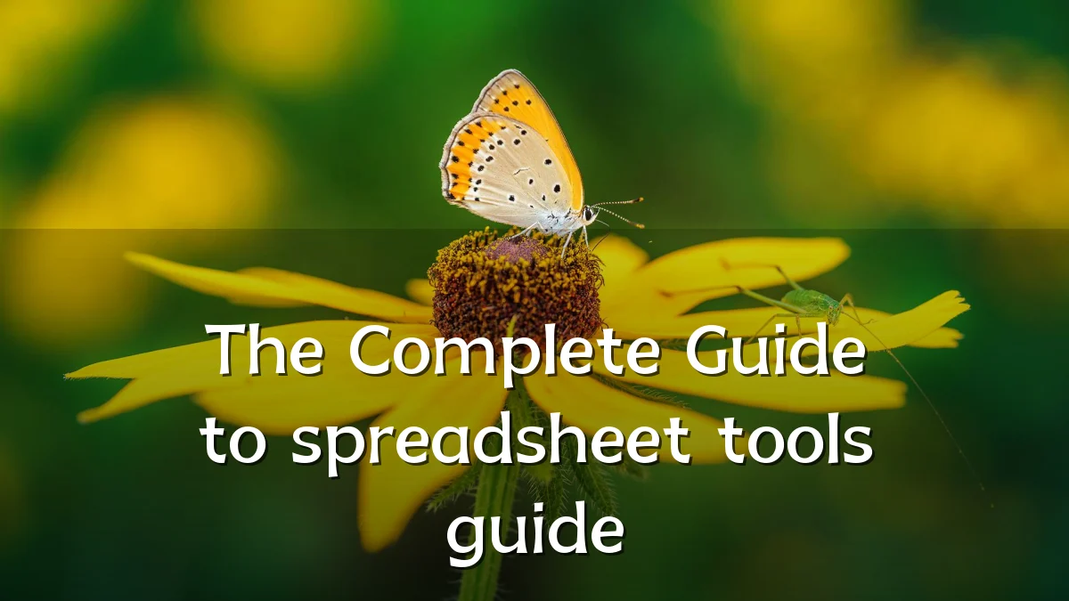 The Complete Guide to spreadsheet tools guide