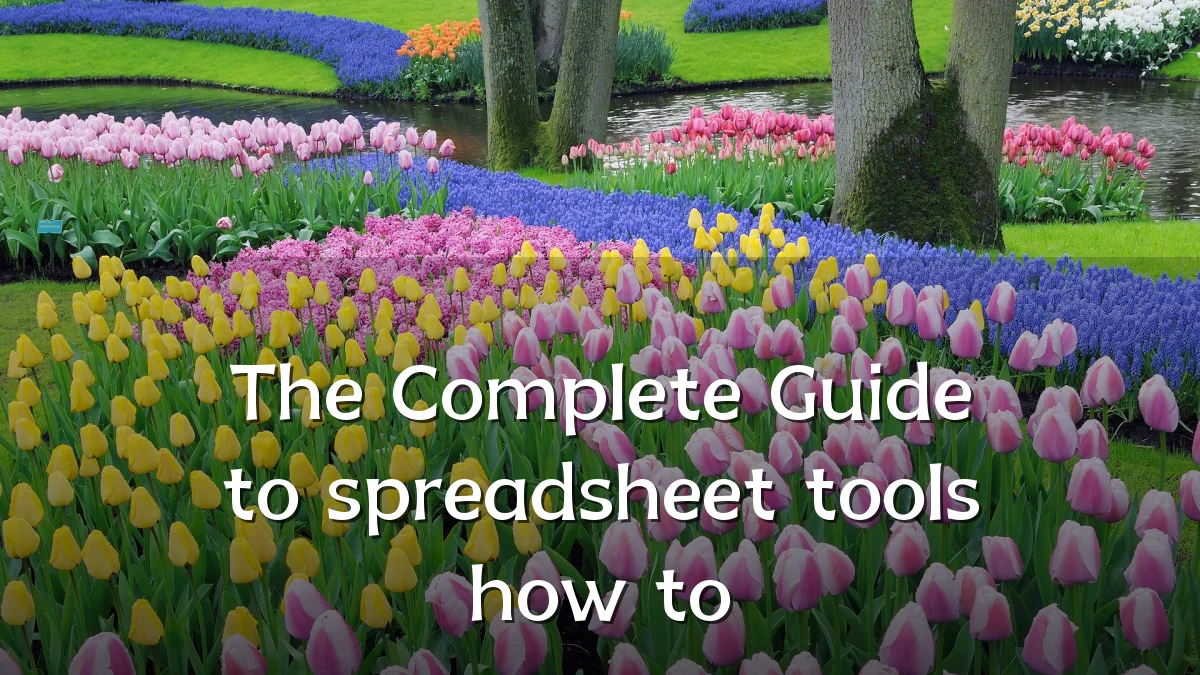 The Complete Guide to spreadsheet tools how to