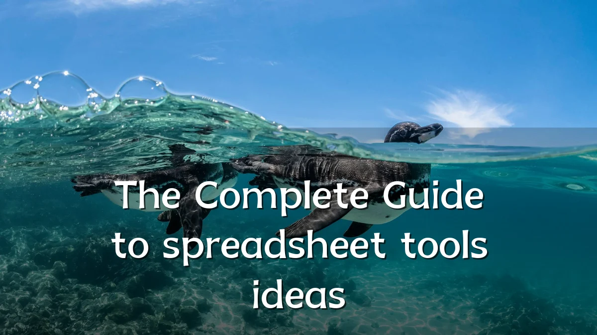 The Complete Guide to spreadsheet tools ideas