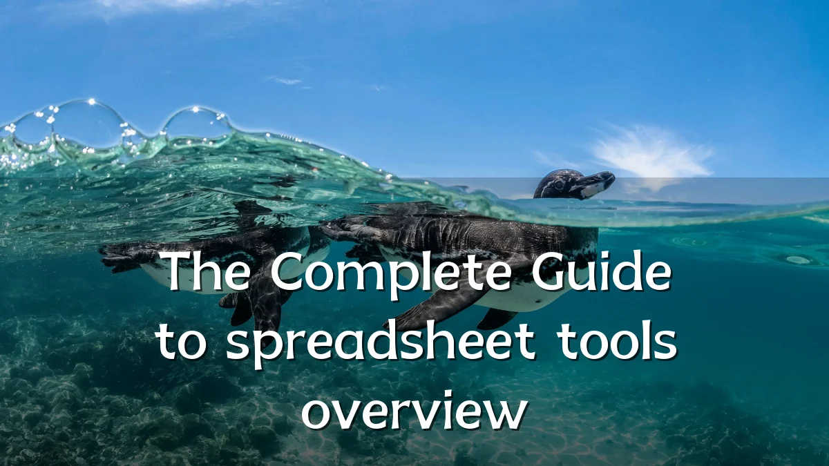 The Complete Guide to spreadsheet tools overview