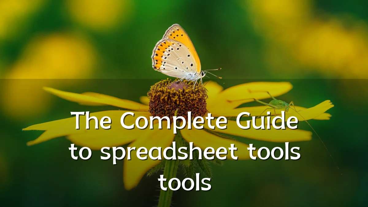 The Complete Guide to spreadsheet tools tools