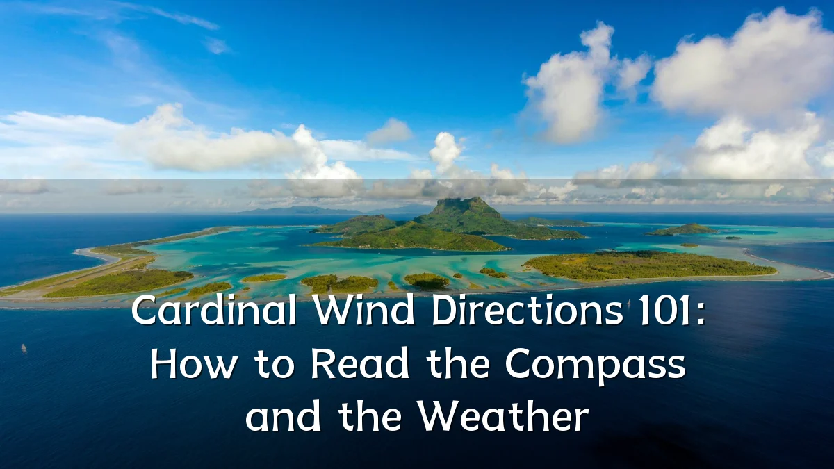 Cardinal Wind Directions 101: How to Read the Compass and the Weather