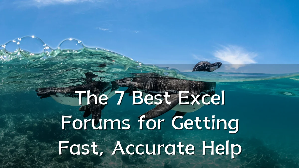 The 7 Best Excel Forums for Getting Fast, Accurate Help