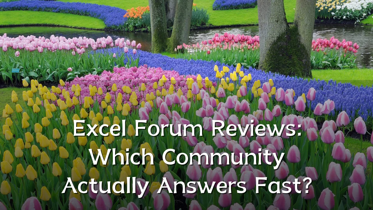 Excel Forum Reviews: Which Community Actually Answers Fast?