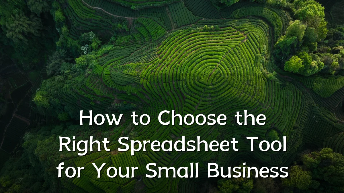 How to Choose the Right Spreadsheet Tool for Your Small Business