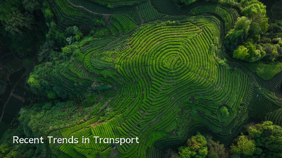 Recent Trends in Transport