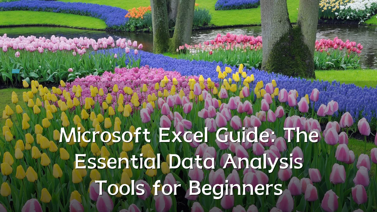 Microsoft Excel Guide: The Essential Data Analysis Tools for Beginners