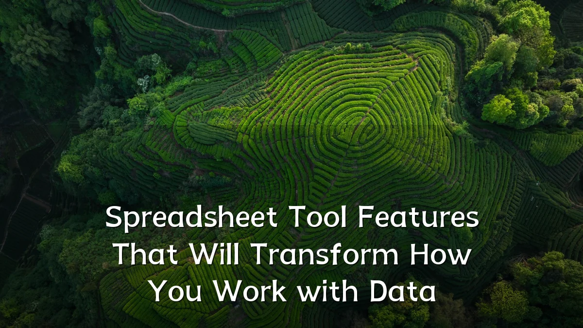 Spreadsheet Tool Features That Will Transform How You Work with Data
