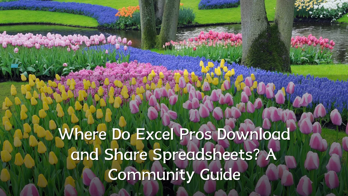Where Do Excel Pros Download and Share Spreadsheets? A Community Guide